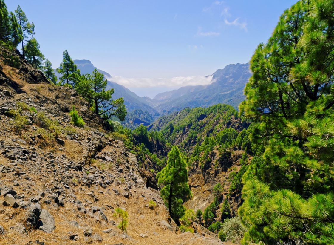 National Park Caldera de Taburiente on the island La Palma, Canary Islands, Spain